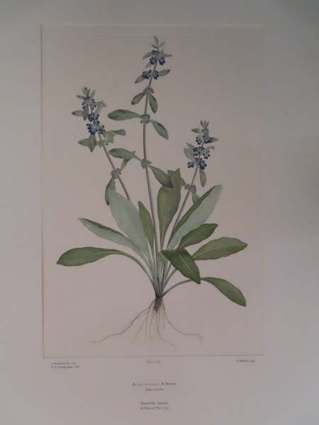 image FDA-E.2916_12_14-2016