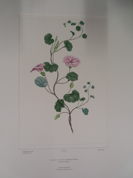 image FDA-E.2916_24_26-2016