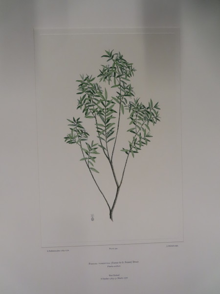 FDA-E.2916_26_9-2016 image FDA-E.2916_26_9-2016