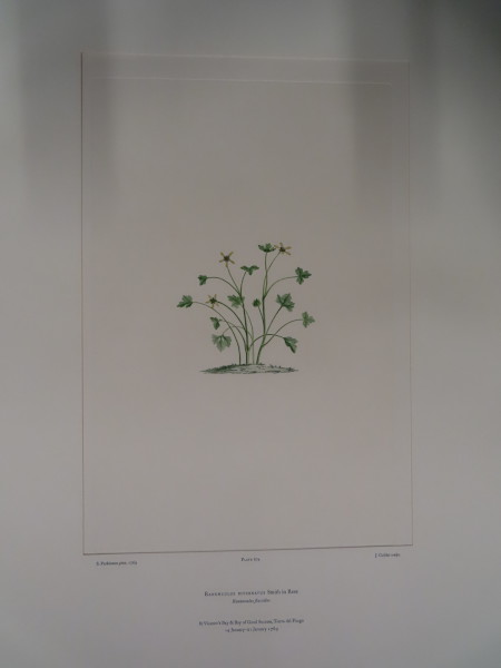 FDA-E.2916_32_4-2016 image FDA-E.2916_32_4-2016