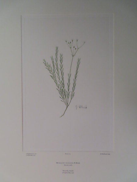 FDA-E.2916_10_14-2016-A image FDA-E.2916_10_14-2016-A