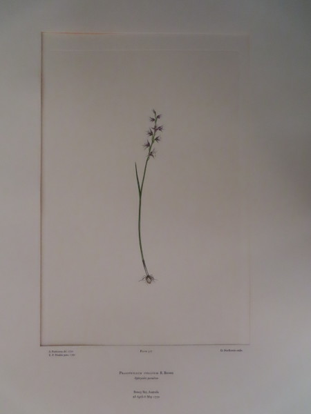 image FDA-E.2916_15_5-2016-A