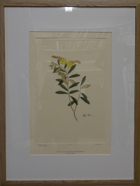 image FDA-E.2916_1_5-2016