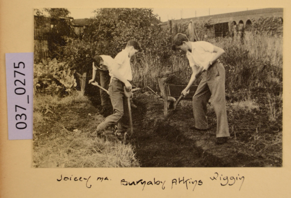 image PA-A.37_275-2012