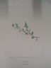 image FDA-E.2916_24_8-2016-A