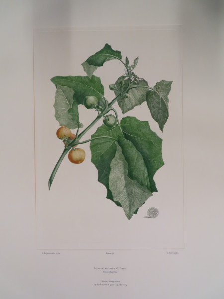 FDA-E.2916_30_7-2016-A image FDA-E.2916_30_7-2016-A