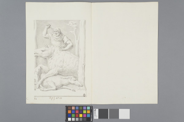image ECL-Bm.8_53-2013