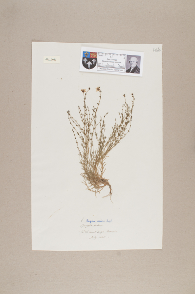 image NHM_HH_9.51-2010