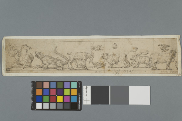 image ECL-Bn.9_46-2013