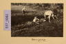 image PA-A.37_82-2012