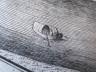 image FDA-E.2671-2016-G