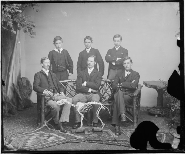 image PA-N.767-2024