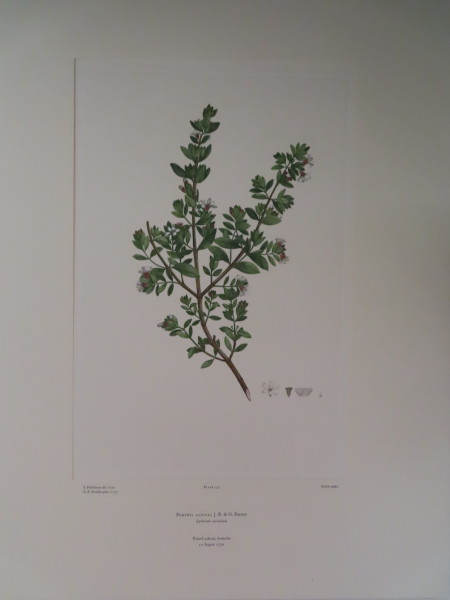 image FDA-E.2916_6_24-2016-A
