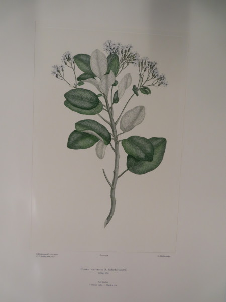 image FDA-E.2916_23_12-2016-A