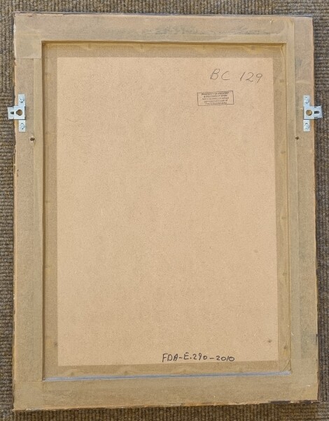 image FDA-E.290-2010-A