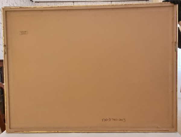image FDA-D.785-2013-A