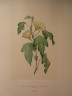 image FDA-E.2916_28_8-2016