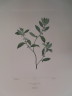 image FDA-E.2916_12_7-2016-A