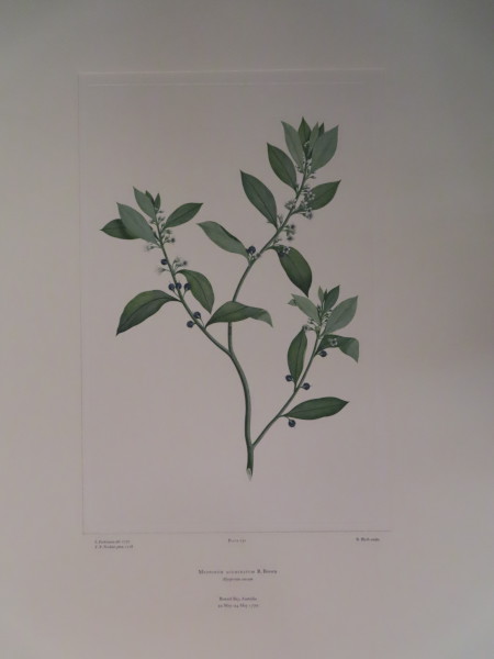 FDA-E.2916_12_7-2016-A image FDA-E.2916_12_7-2016-A