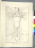 image ECL-Bm.4_22-2012-A