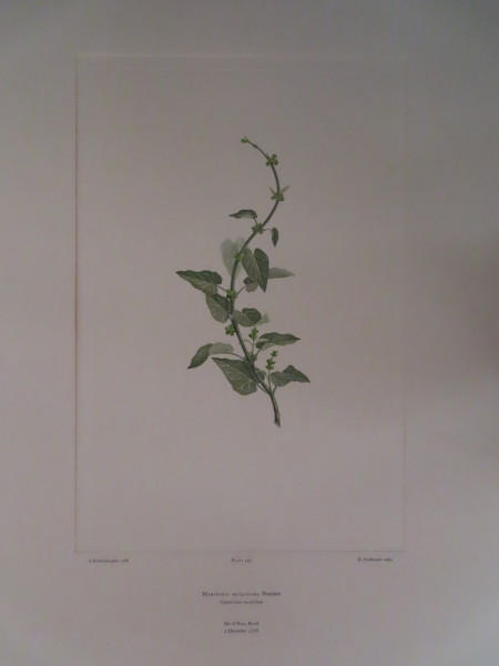 image FDA-E.2916_16_15-2016-A