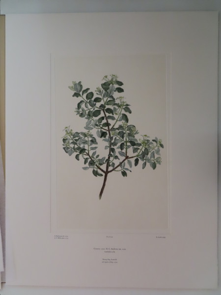 image FDA-E.2916_2_15-2016