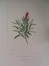 image FDA-E.2916_6_5-2016