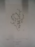 image FDA-E.2916_25_22-2016