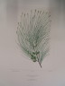 image FDA-E.2916_31_16-2016