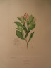 image FDA-E.2916_28_13-2016-A