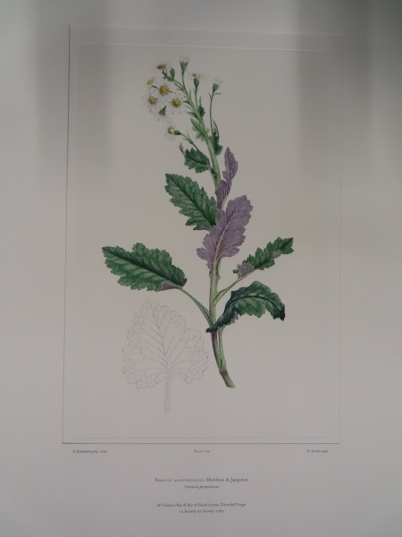 image FDA-E.2916_33_19-2016