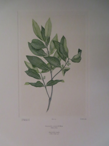 image FDA-E.2916_10_6-2016