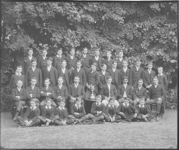 image PA-N.648-2024