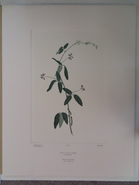 FDA-E.2916_4_7-2016 image FDA-E.2916_4_7-2016
