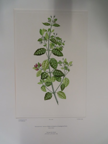 image FDA-E.2916_21_20-2016