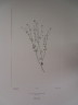 image FDA-E.2916_7_10-2016-A