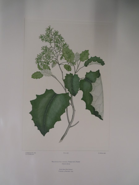 image FDA-E.2916_23_21-2016