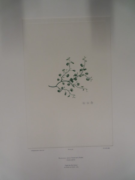 image FDA-E.2916_25_4-2016-A