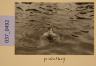 image PA-A.37_492-2012
