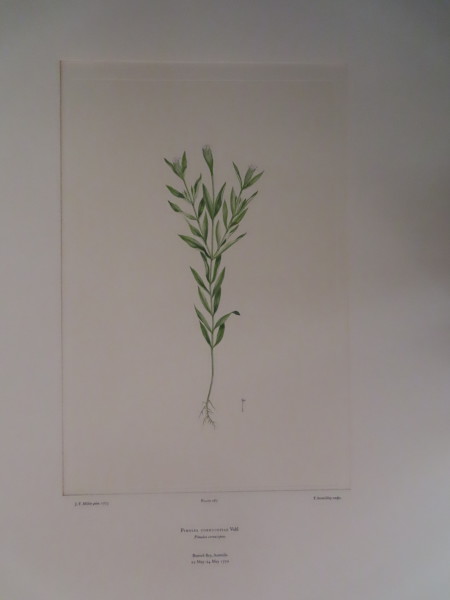 image FDA-E.2916_13_20-2016-A