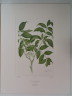 image FDA-E.2916_2_25-2016