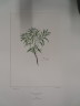 image FDA-E.2916_19_12-2016-A
