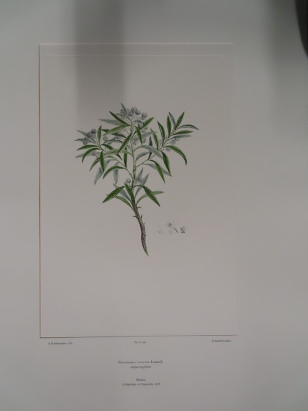 image FDA-E.2916_19_12-2016-A