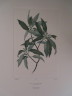 image FDA-E.2916_7_15-2016-A