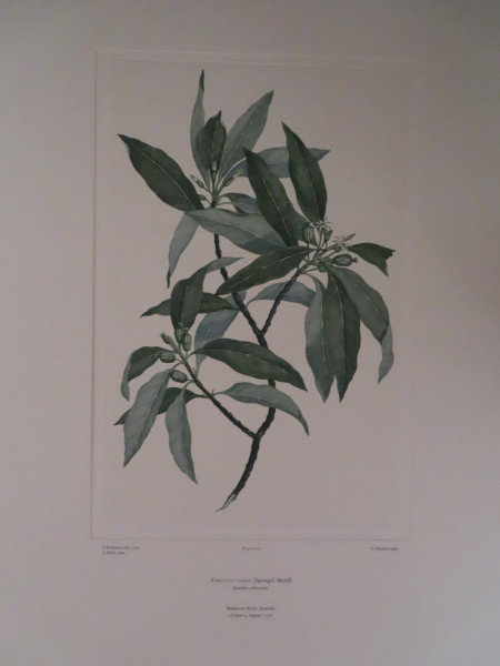 image FDA-E.2916_7_15-2016-A