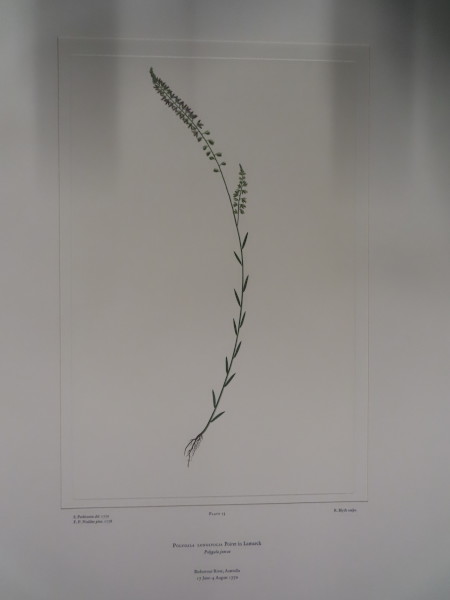 image FDA-E.2916_1_18-2016