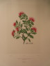 image FDA-E.2916_28_23-2016-A