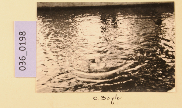 image PA-A.36_198-2012