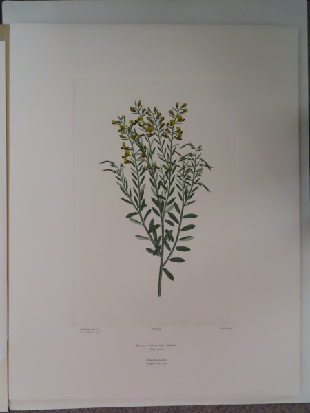 image FDA-E.2916_3_12-2016