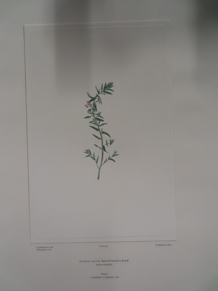 FDA-E.2916_19_5-2016-A image FDA-E.2916_19_5-2016-A